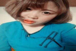 南方有乔木免费观看全集完整